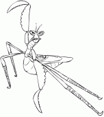 coloring picture of Master Mantis