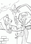 coloring picture of Melman Alex Gloria and Marty