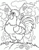 coloring picture of domestic fowl in garden