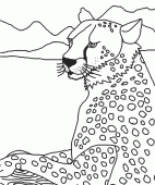 coloring picture of bust of a cheetah