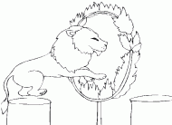 coloring picture of a lion jumps through a circle of fire