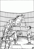 coloring picture of tiger trainer