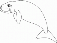 coloring picture of dugong