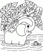 coloring picture of baby elephant