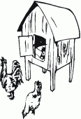 coloring picture of chicken coop