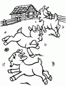 coloring picture of domestic goats in pasture