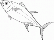 coloring picture of tuna