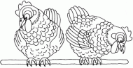 coloring picture of Two Hens