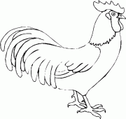 coloring picture of rooster