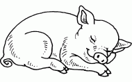 coloring picture of pig which sleeps in the pigsty