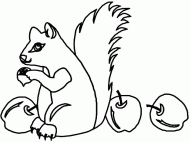 coloring picture of Squirrel and fruits