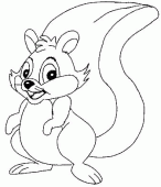 coloring picture of coloring picture squirrel