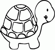 coloring picture of little turtle