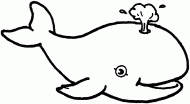 coloring picture of whale