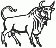 coloring picture of Bull