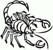 coloring picture of Scorpion