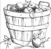 coloring picture of an apple basket