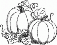 coloring picture of two pumpkins