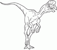 coloring picture of oviraptor