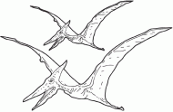 coloring picture of pterosaur