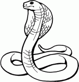 coloring picture of snake king cobra
