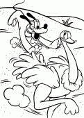 coloring picture of Pluto runs after an ostrich