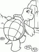coloring picture of Verne the Box turtle