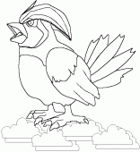 coloring picture of 017 pidgeotto