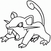 coloring picture of 019 rattata