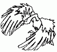 coloring picture of fearow