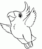 coloring picture of Kokapetl Tao s pet parrot