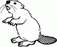 coloring picture of beaver standing on two legs