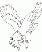 coloring picture of eagle