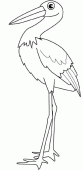 coloring picture of stork