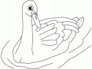 coloring picture of swan