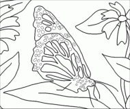 coloring picture of butterfly on a leaf