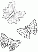 coloring picture of three butterflies