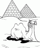 coloring picture of a camel in front of two pyramids