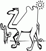 coloring picture of camel in the desert with the sun