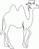 coloring picture of picture of camel