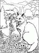 coloring picture of Cat with some flowers
