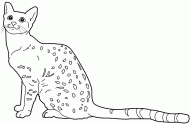 coloring picture of Egyptian Mau cat