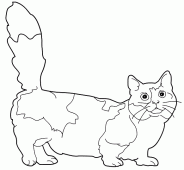 coloring picture of Munchkin cat