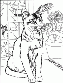 coloring picture of one cat inside one cat outside