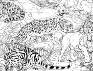 coloring picture of a cheetah a tiger a puma and a lion in the jungle