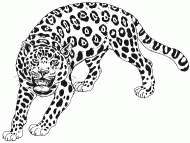 coloring picture of cheetah ready to attack