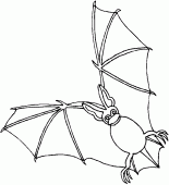 coloring picture of Bat