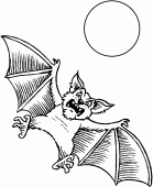 coloring picture of bat and moon