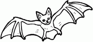 coloring picture of bat is flying in sky
