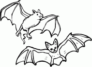 coloring picture of two bats
